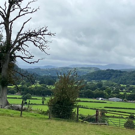 Bed and Breakfast Hares Hideaway At Coed Moelfa à Corwen Extérieur photo