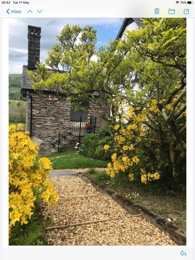 Bed and Breakfast Hares Hideaway At Coed Moelfa à Corwen Extérieur photo